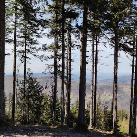 Nad Potokiem Skrzyczne Appartamento *