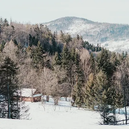 Nad Potokiem Skrzyczne