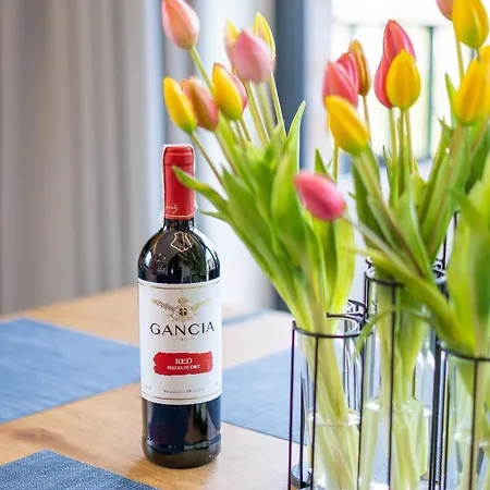 Nad Potokiem Skrzyczne * Szczyrk