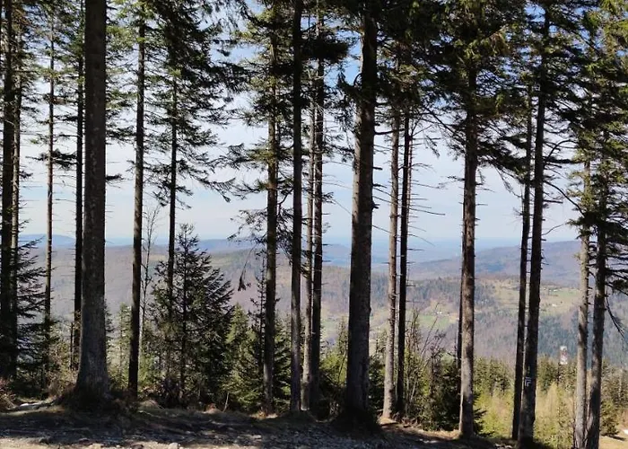 Nad Potokiem Skrzyczne Apartmán *