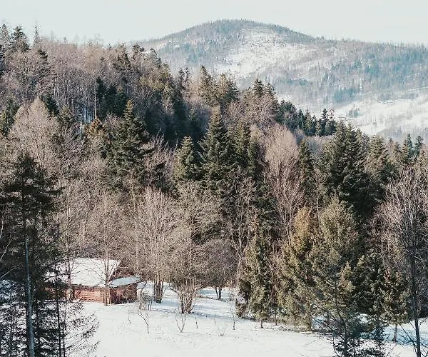 Nad Potokiem Skrzyczne