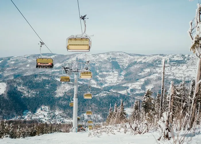 Nad Potokiem Skrzyczne